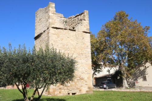 2024-11-15-Rando Collorgues-05