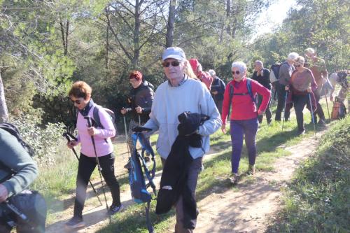 2024-11-15-Rando Collorgues-14