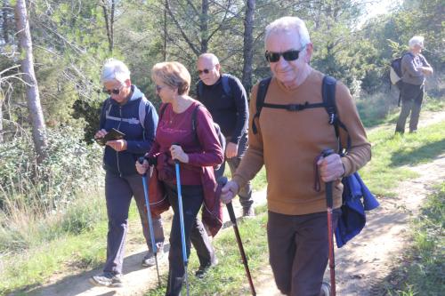 2024-11-15-Rando Collorgues-16