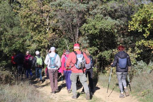 2024-11-15-Rando Collorgues-18