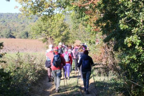 2024-11-15-Rando Collorgues-19