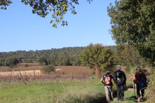 2024-11-15-Rando Collorgues-21