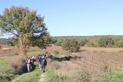 2024-11-15-Rando Collorgues-22