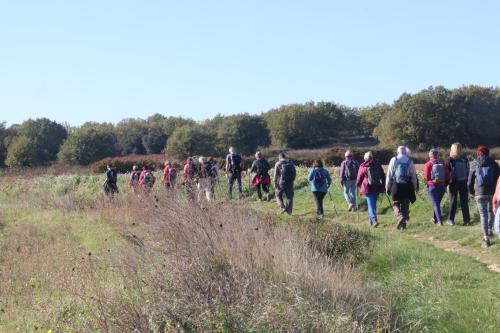 2024-11-15-Rando Collorgues-23