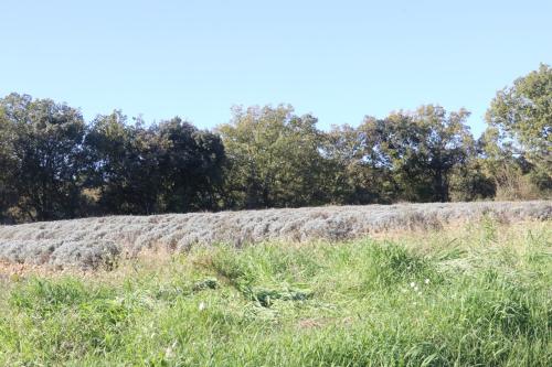 2024-11-15-Rando Collorgues-27