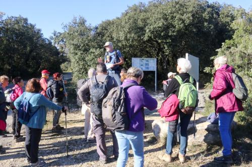 2024-11-15-Rando Collorgues-28