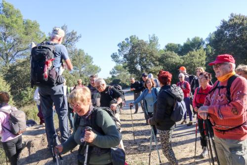 2024-11-15-Rando Collorgues-29