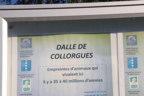 2024-11-15-Rando Collorgues-31
