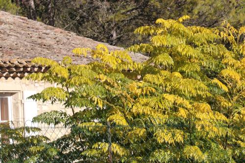 2024-11-15-Rando Collorgues-38