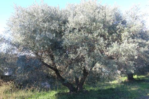 2024-11-15-Rando Collorgues-44