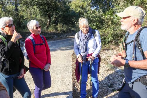 2024-11-15-Rando Collorgues-48