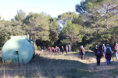 2024-11-15-Rando Collorgues-57