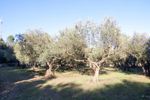 2024-11-15-Rando Collorgues-58