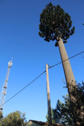 2024-11-15-Rando Collorgues-59