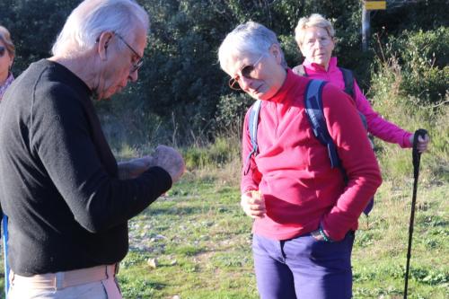 2024-11-15-Rando Collorgues-67
