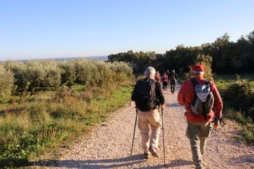 2024-11-15-Rando Collorgues-71