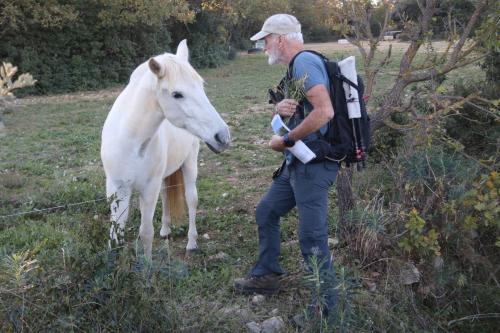 2024-11-15-Rando Collorgues-72