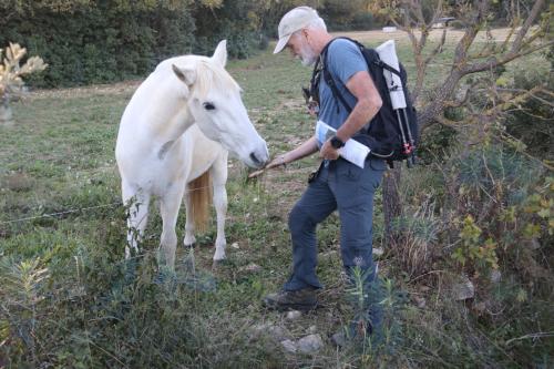 2024-11-15-Rando Collorgues-73