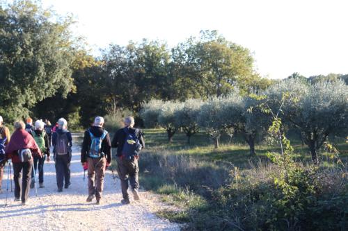 2024-11-15-Rando Collorgues-75