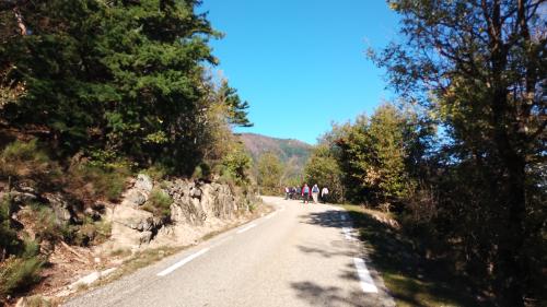 IMG 20241115 105250