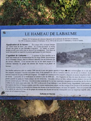 IMG-20250228-WA0060