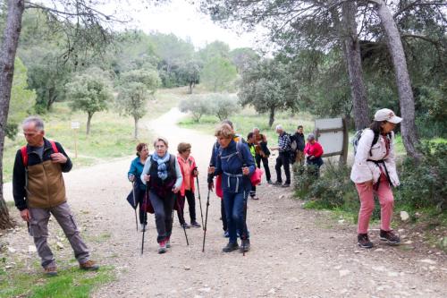 2025-03-07-Oppidum-de-Nages-Visa-2000-20