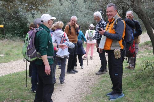 2025-03-07-Oppidum-de-Nages-Visa-2000-32