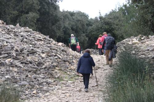 2025-03-07-Oppidum-de-Nages-Visa-2000-44