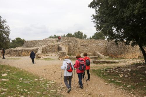 2025-03-07-Oppidum-de-Nages-Visa-2000-47