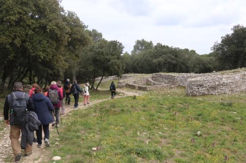 2025-03-07-Oppidum-de-Nages-Visa-2000-55