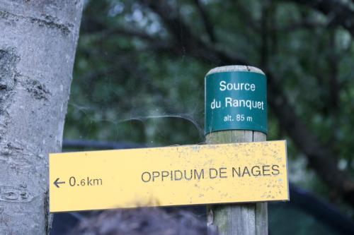 2025-03-07-Oppidum-de-Nages-Visa-2000-57