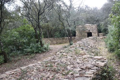 2025-03-07-Oppidum-de-Nages-Visa-2000-76