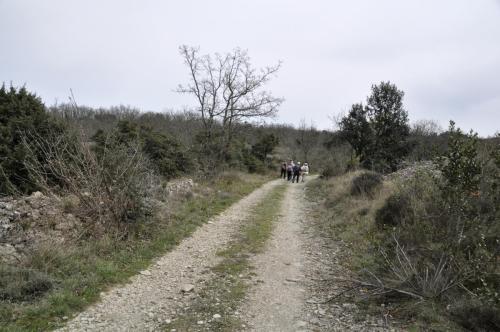 DSC7084