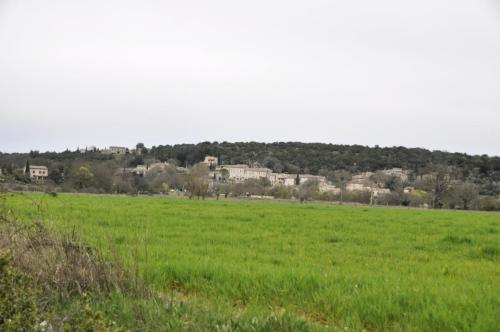 DSC7097