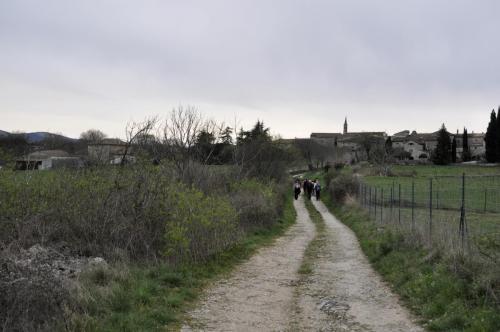DSC7108