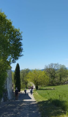 IMG-20250424-WA0013