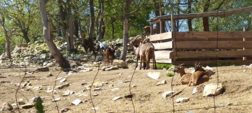 IMG-20250424-WA0027