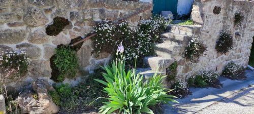 IMG-20250428-WA0004