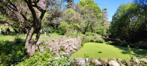 IMG-20250428-WA0008