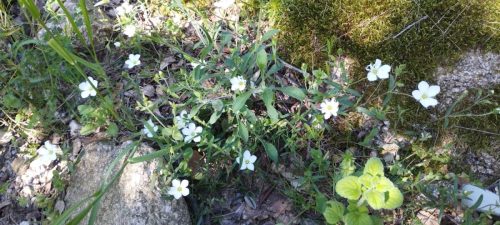 IMG-20250428-WA0016