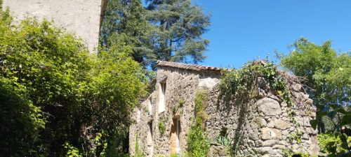 IMG-20250428-WA0017