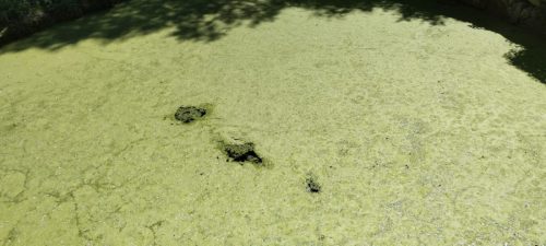 IMG-20250428-WA0018