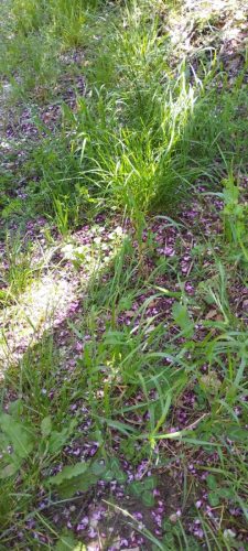 IMG-20250428-WA0019