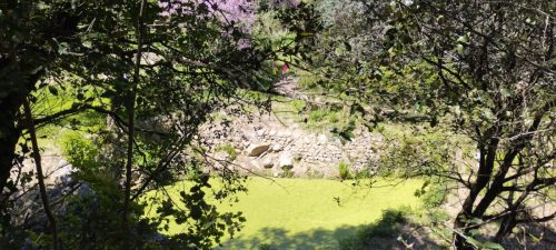 IMG-20250428-WA0021
