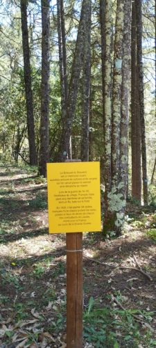 IMG-20250428-WA0022