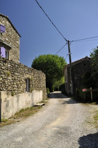 DSC7258