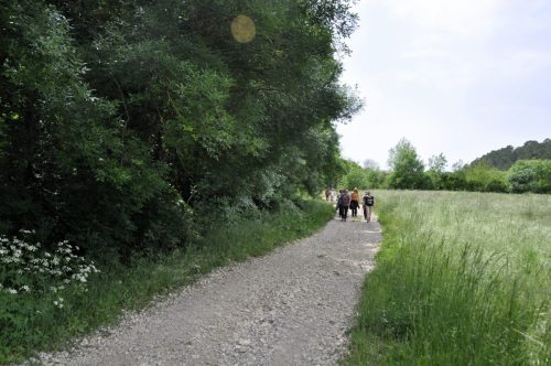 DSC7303