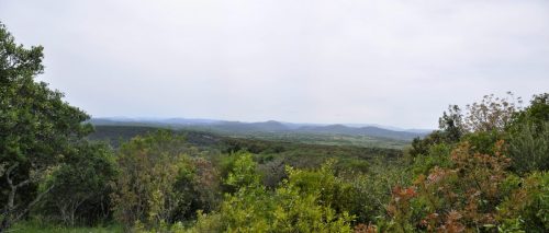 DSC7330