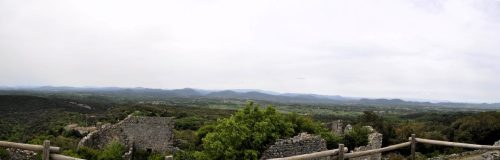 DSC7336
