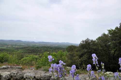 DSC7341